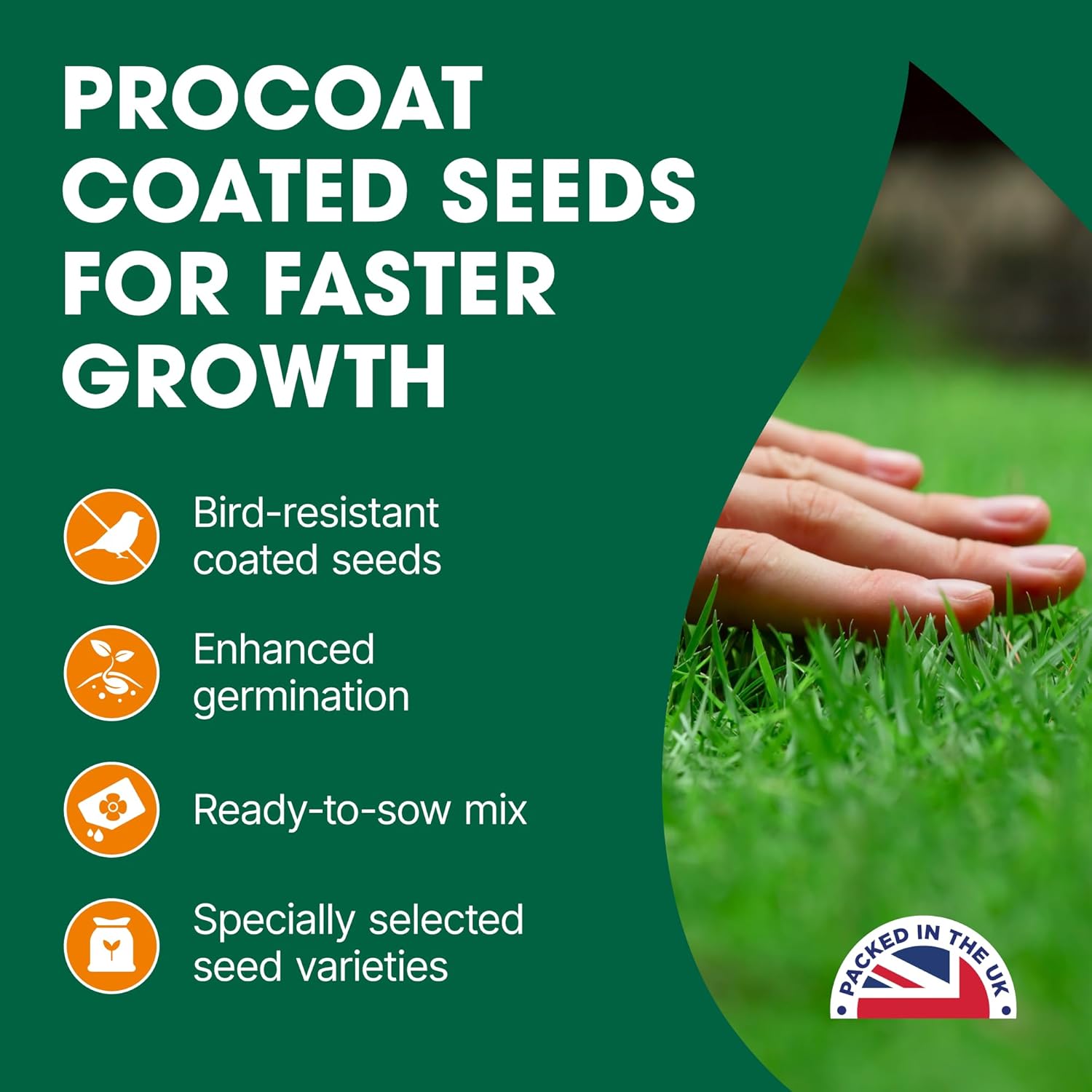 Doff 5 in 1 Lawn Fix & Grass Seed – 2.25kg