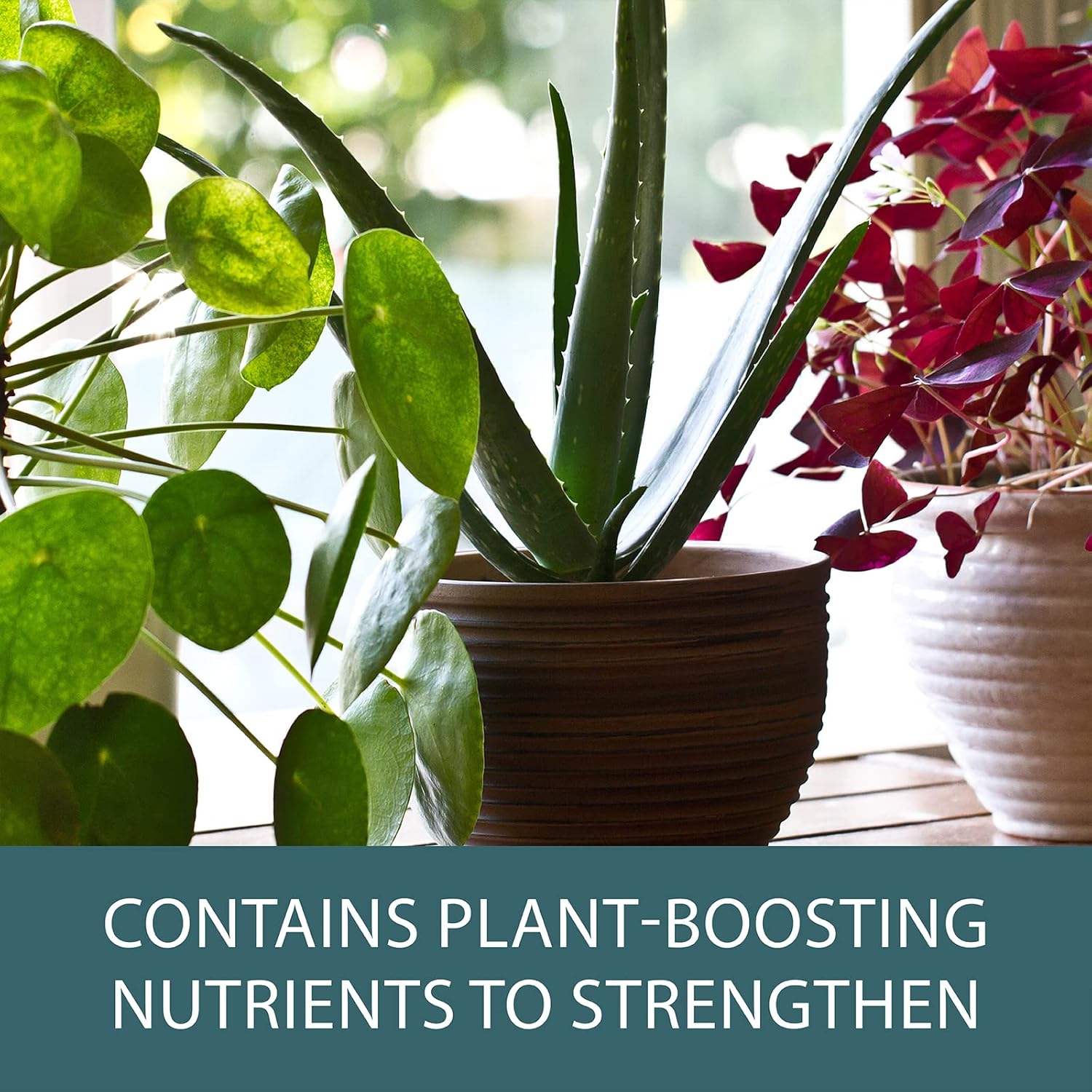 Plantsmith Protecting Bug Control Spray for Indoor Plants & Flowers 500ml