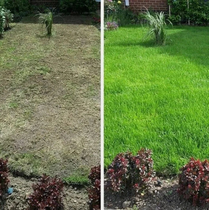 Doff 2.25kg 5-in-1 Lawn Fix & Grass Seed