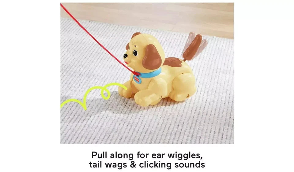 Fisher-Price Lil' Snoopy Pull Along Toy Dog 12M+